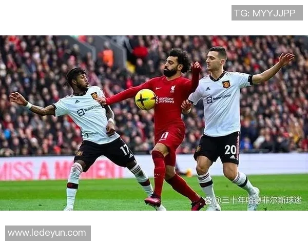 比利时与荷兰对决结果揭晓球迷热议精彩瞬间与战术分析