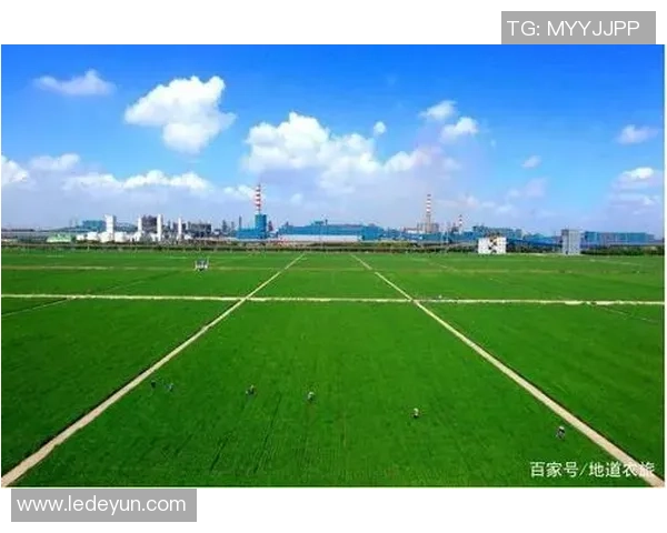 铁路工场与贝尔格的较量：技术创新与传统工艺的碰撞与融合